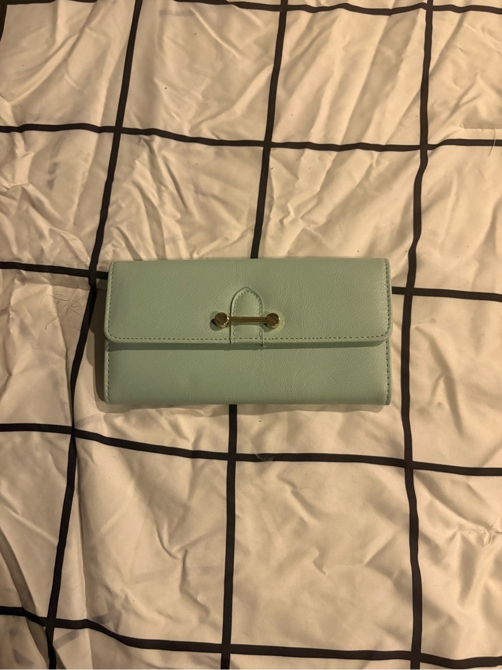 Mint Green Women's Wallet - Classic Fold Clutch